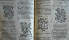 biblioteca-del-museo-di-storia-naturale-4