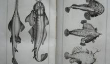 biblioteca-del-museo-di-storia-naturale-6