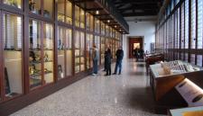 museo di storia naturale a venezia