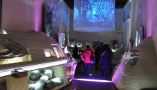 museo di storia naturale a venezia