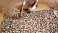 01 - semina pavimento o terrazzo alla veneziana